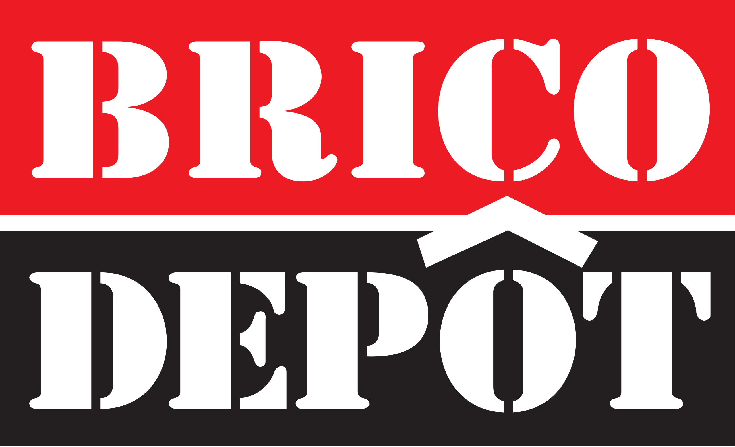 Bricodepot.svg