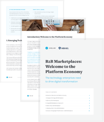 b2b Marketplaces