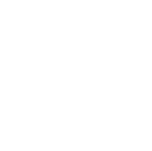 secret_sales_logo